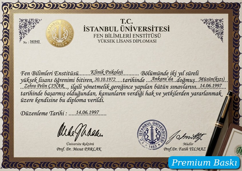 Diploma örneği 8